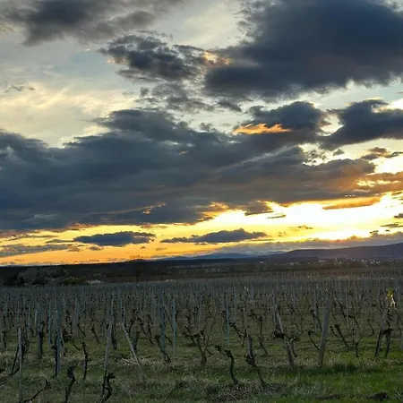 Apartament Harol & Bike